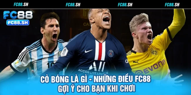 Cò Bóng Là Gì - Những Điều FC88 Gợi Ý Cho Bạn Khi Chơi