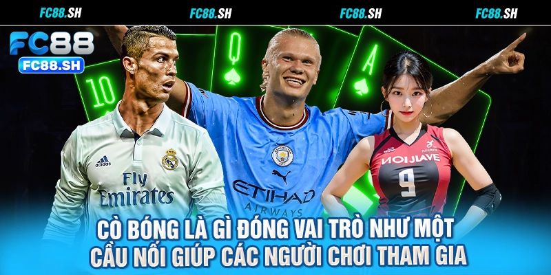 Cò bóng là gì đóng vai trò như một cầu nối giúp các người chơi tham gia