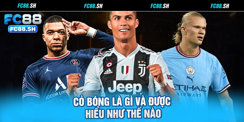 Cò bóng là gì và được hiểu như thế nào