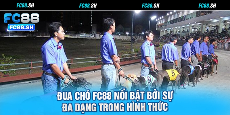 Đua chó FC88 nổi bật bởi sự đa dạng trong hình thức