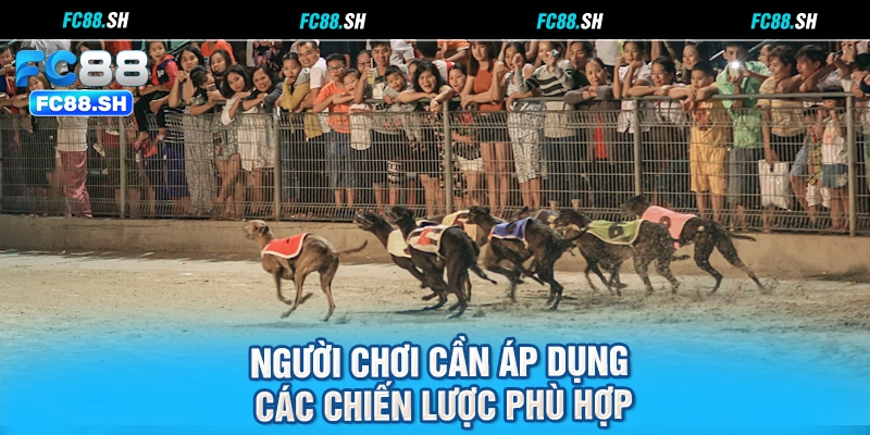 Người chơi cần áp dụng các chiến lược phù hợp