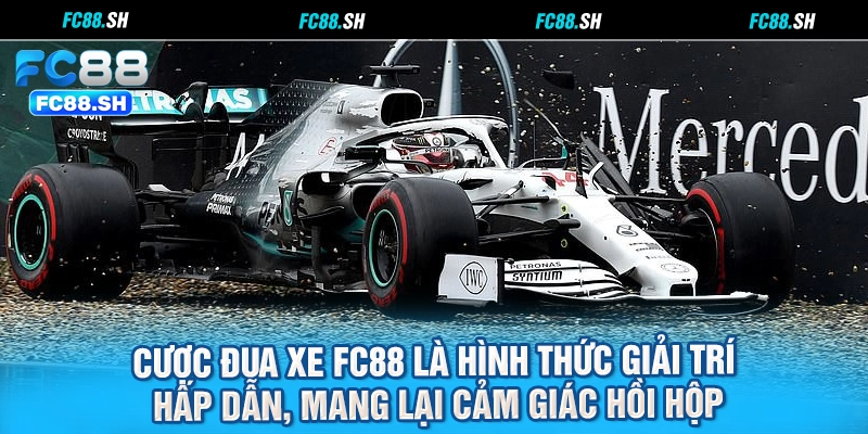 Cược đua xe FC88 là hình thức giải trí hấp dẫn, mang lại cảm giác hồi hộp
